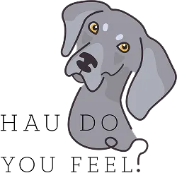 Fur Focus - Portrety Zwierząt