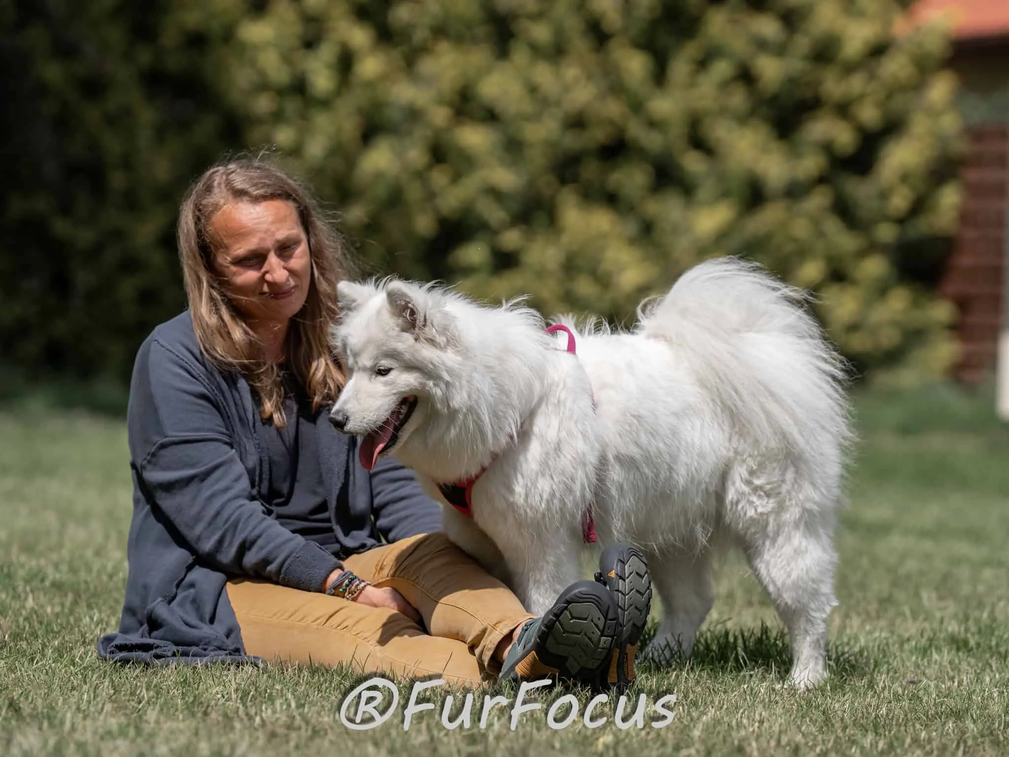 Aleksandsra Zawadzka - Glinka - Galeria - Behawiorysta psów