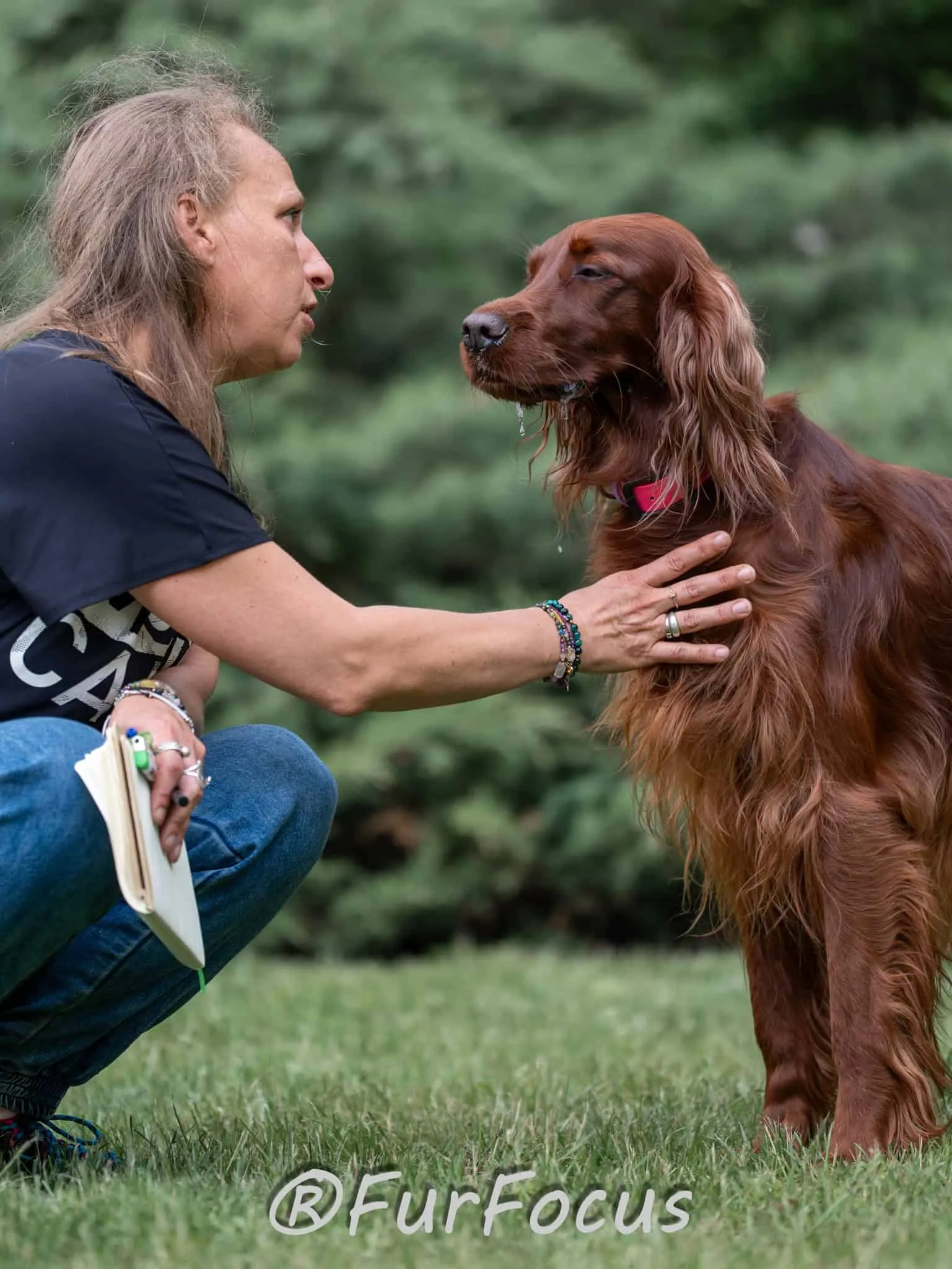 Aleksandsra Zawadzka - Glinka - Galeria - Behawiorysta psów