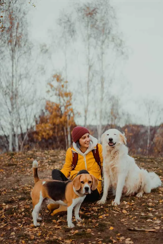 Aleksanda Zawadzka-Glinka Behawiorystka Zwierząt Towarzyszących
